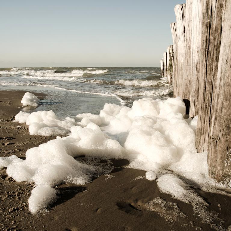 Bed & Breakfast Het Strandhuis *